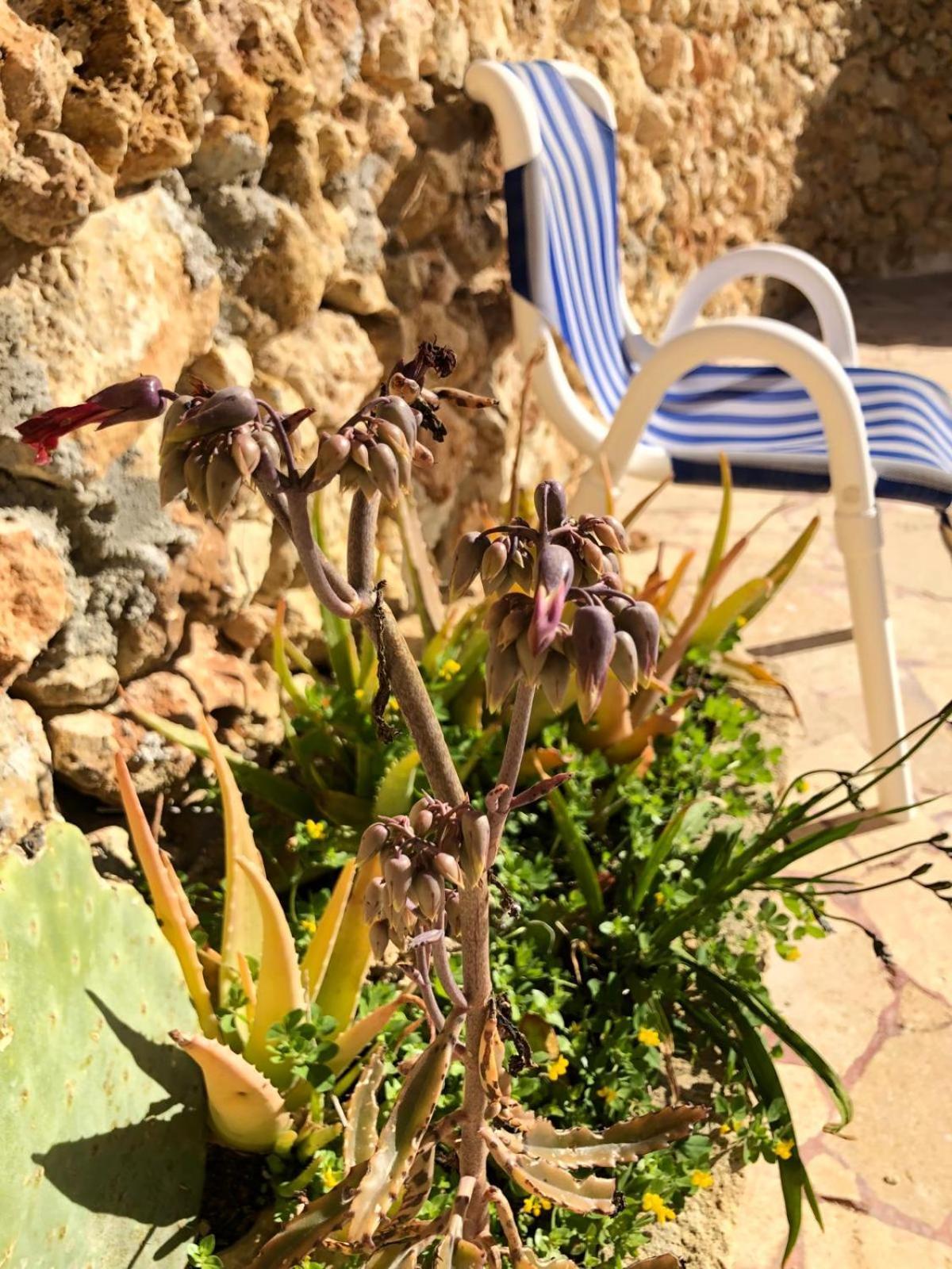 Gozo Silence Bed & Breakfast Gharb  Exterior photo